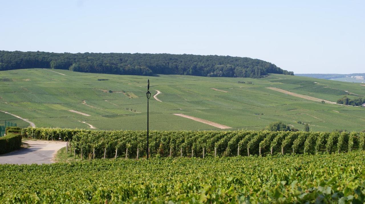 Les Dames-Jeannes Bed and Breakfast Chavot-Courcourt Exteriör bild