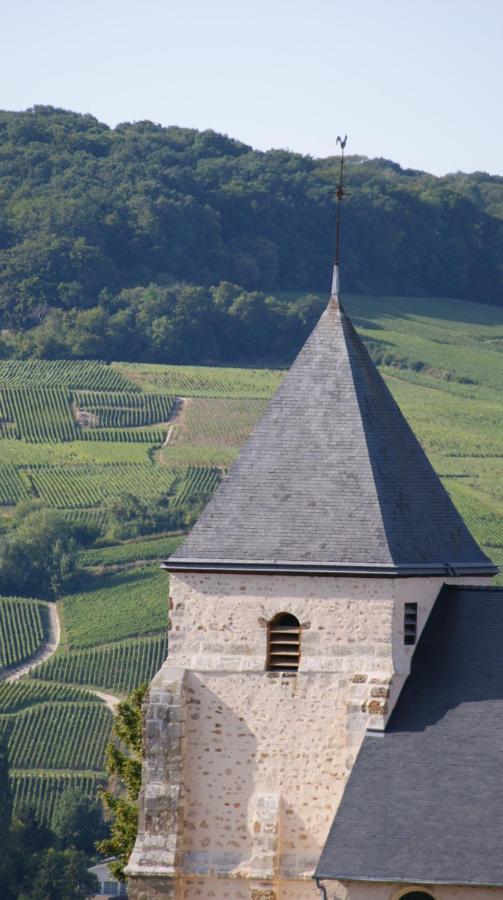 Les Dames-Jeannes Bed and Breakfast Chavot-Courcourt Exteriör bild