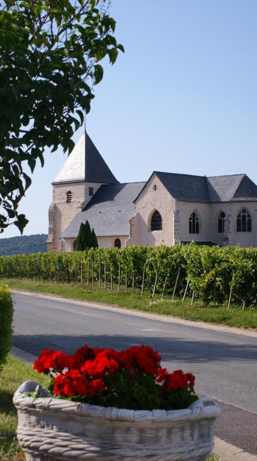 Les Dames-Jeannes Bed and Breakfast Chavot-Courcourt Exteriör bild